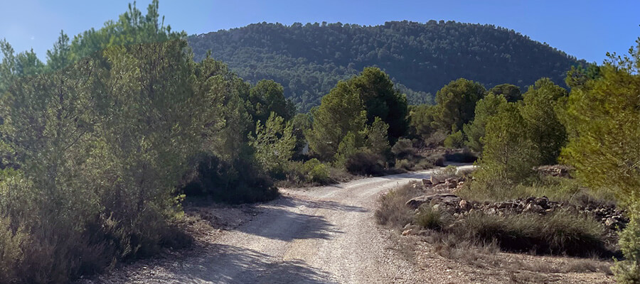 Loslaten leidt tot nieuwe wegen